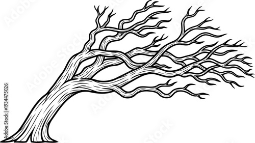Leafless tree trunk bent by prevailing winds line art