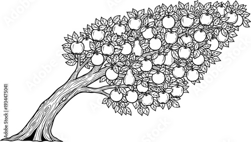 Leaning fruit tree laden with ripe apples drawing