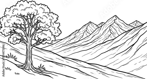Leafy tree in a mountainous landscape with rolling hills