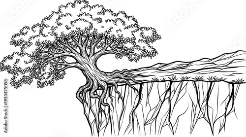 Leaning tree with strong roots gripping a steep precipice