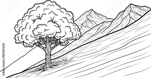 Scenic hillside tree with distant mountain range backdrop