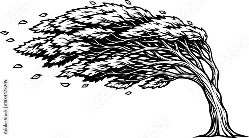 Silhouette of a tree bending under the force of a powerful gale