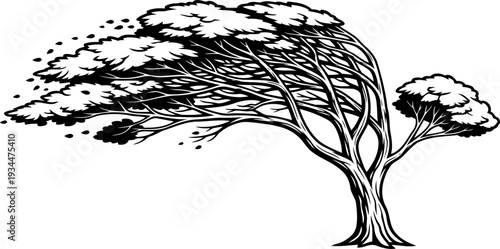 Tree leaning at a sharp angle due to extreme wind pressure