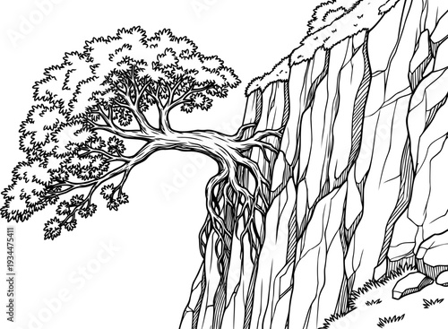 Tree growing horizontally from a vertical rocky mountain cliff
