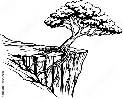 Tree perched on a rocky precipice with roots extending over the edge
