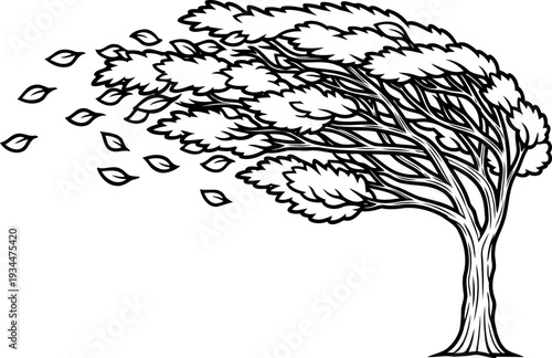 Tree trunk bent horizontally by the force of persistent strong winds