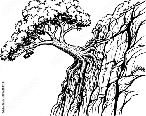Tree with exposed roots gripping a vertical rock face on a cliffside