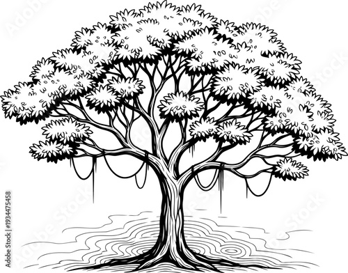 Tropical banyan tree with hanging lianas and water ripples