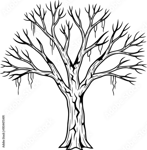 Weeping tree silhouette with hanging moss or vines