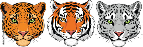 Wild Cat Faces: Leopard Tiger and Snow Leopard in a Bold Cartoon Style