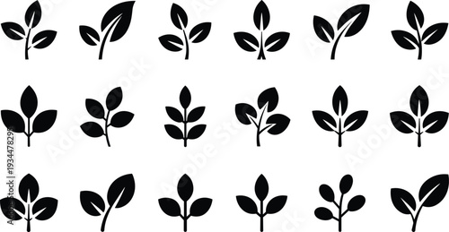 Black leaf and plant silhouette icons set, simple botanical branch shapes collection with modern minimal foliage vector isolated on white background