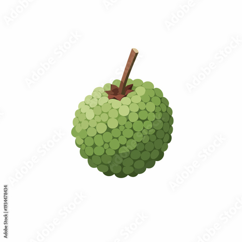 Detailed Flat Illustration of a Sugar Apple Tropical Fruit Icon