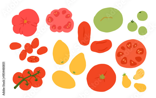 Heirloom Tomato Variety Set. Cherry, Beefsteak, San Marzano, Yellow Pear, Green Tomato, Seedling, Plant. Garden Vegetable Collection Hand Drawn Vector Illustration