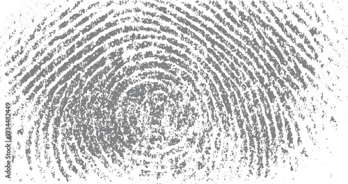 Textured grey fingerprint pattern on white background abstract