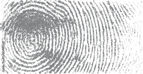 Textured gray fingerprint pattern on white background with concentric ridges and granular detail