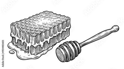 Honeycomb piece with honey dipper vector engraving style isolated on white background for honey packaging branding apiary label design and natural food illustration