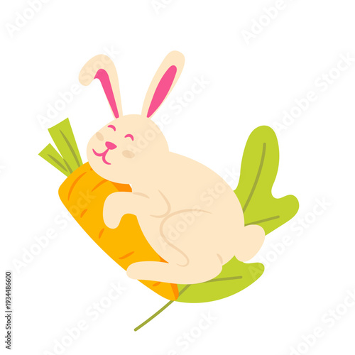 Cute Rabbit Hugging Carrot