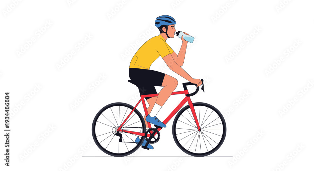 Fototapeta premium Cyclist in race in vector with white background