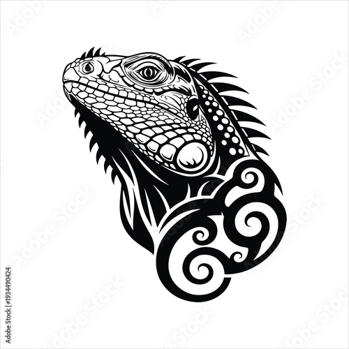 iguana on white background