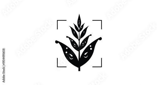 A striking black graphic depicts a stylized leaf framed by a square bracket highlighting botanical forms as a silhouette