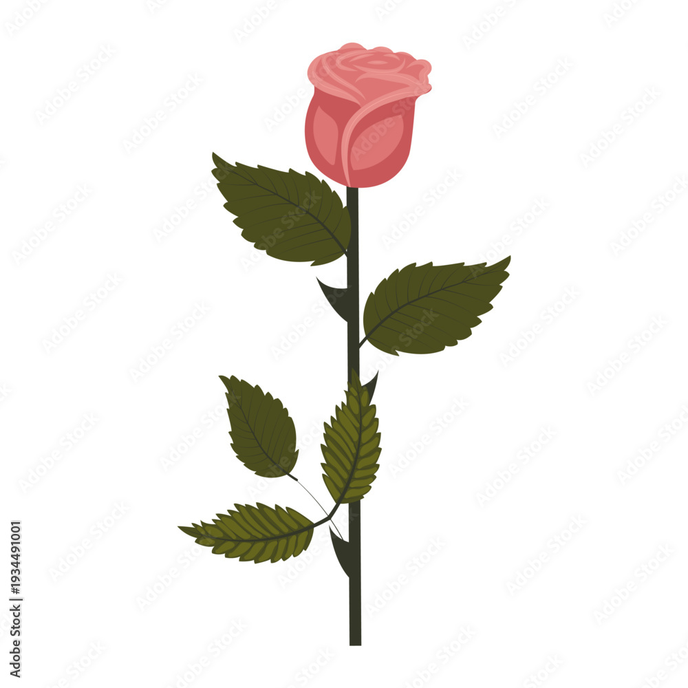 Obraz premium Dusty pink rose. Elegant flower on a straight even stem. Vector illustration isolated on a white background.