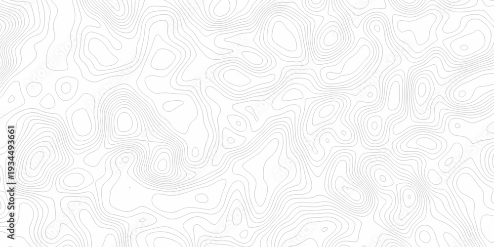 Obraz premium Minimal white line geometric grid outline curve counter map and wavy topography relief discovery area white, black line texture background.