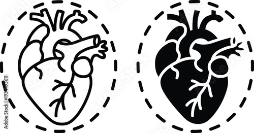 Human Heart Anatomy Icon Set, Vector Line and Glyph Style Medical Illustration