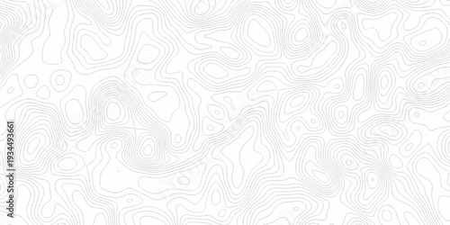 Minimal white line geometric grid outline curve counter map and wavy topography relief discovery area white, black line texture background.