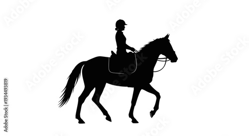 Rider on Horseback in Motion Silhouette.