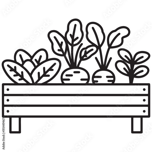Raised garden bed with fresh vegetables growing healthy produce illustration