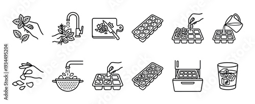 Set of line icons illustrating the step-by-step process of freezing fresh herbs like mint in an ice cube tray for later use in drinks, a simple food preservation kitchen hack