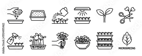 Microgreens growing process black line icon set showing the complete cultivation cycle from sowing seeds and watering to harvesting for healthy eating