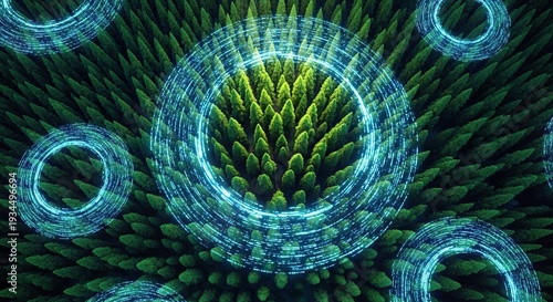 Abstract Digital Circles Over Dense Green Forest Canopy Aerial View