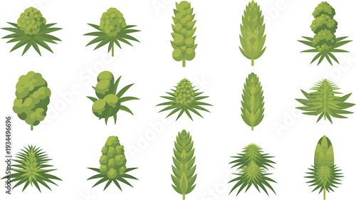 Collection of green plants and flowers on white background