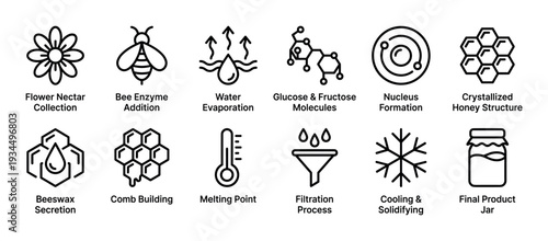 Twelve black outline icons illustrating the honey production process, from flower nectar collection by bees to the final product jar, presented in a clear, informative, and educational style