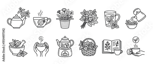 Collection of various herbal tea preparation icons, featuring fresh mint leaves, teapots, steaming cups, and natural ingredients in a clean line art style