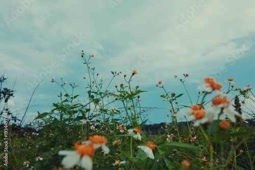 A serene landscape showcasing a vibrant rice field with lush green shoots and mirrored reflections in the water, captured in a realistic style, set against a backdrop of tropical trees and a
