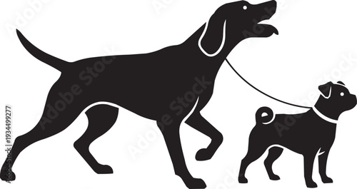 Leashed dog walk: A large dog leads a smaller dog on a leash, silhouetted against a white background.