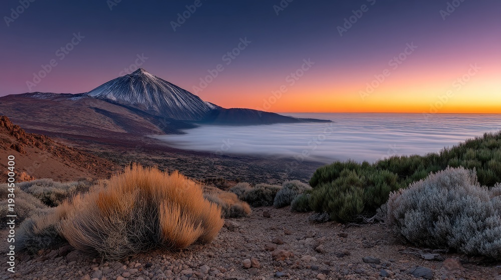Fototapeta premium Teide volcano shows clouds and dense plants in the foreground during twilight with fog covering the mountain base.