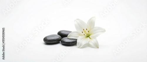 Tranquil arrangement of white lily flower and smooth stones minimalist style indoor setup zen environment top-down view serenity and relaxation concept