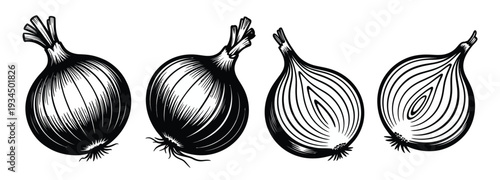 Onion Illustration Set, Flat Vector Illustrations Featuring Whole Bulbs and Sliced Graphics, Perfect for Vintage Vegetable Designs, Culinary Branding, and Creative Projects.