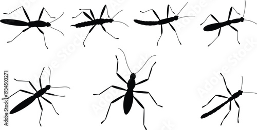 Ant silhouettes collection in different poses isolated on white background, detailed insect vector illustration set for pest control design
