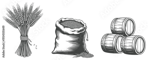 Malt in Burlap Bag with Sheaf of Wheat and Wood Barrels, Hand-Drawn Engraving Style Vector Illustration