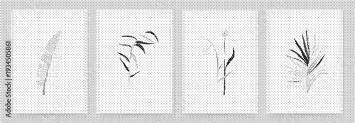 Black and white leaf designs