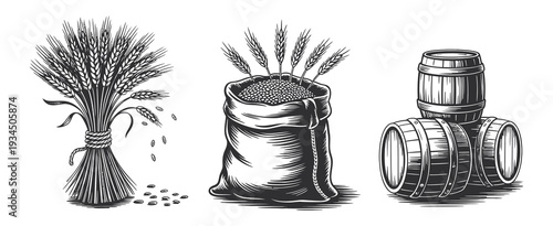 Malt in Burlap Bag with Sheaf of Wheat and Wood Barrels, Hand-Drawn Engraving Style Vector Illustration