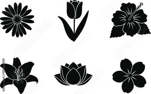 Collection of black flower silhouettes including daisy tulip hibiscus lily lotus and plumeria on transparent background