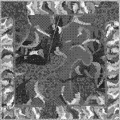 Dark gray fabric texture with a complex black and white pattern and abstract design