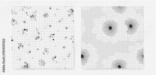 Black and white illustration of starry night sky