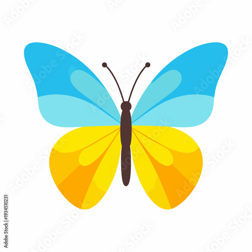Centered forward-facing butterfly illustration with a dark blue body, antennae, light blue upper wings and yellow lower wings on a white backdrop, viewed from a frontal perspective