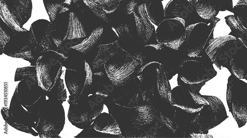 Abstract black and white textured brush strokes forming organic shapes and patterns
